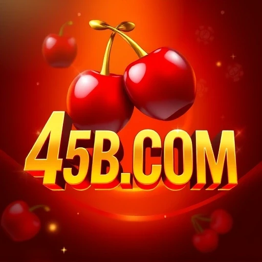 45B.COM